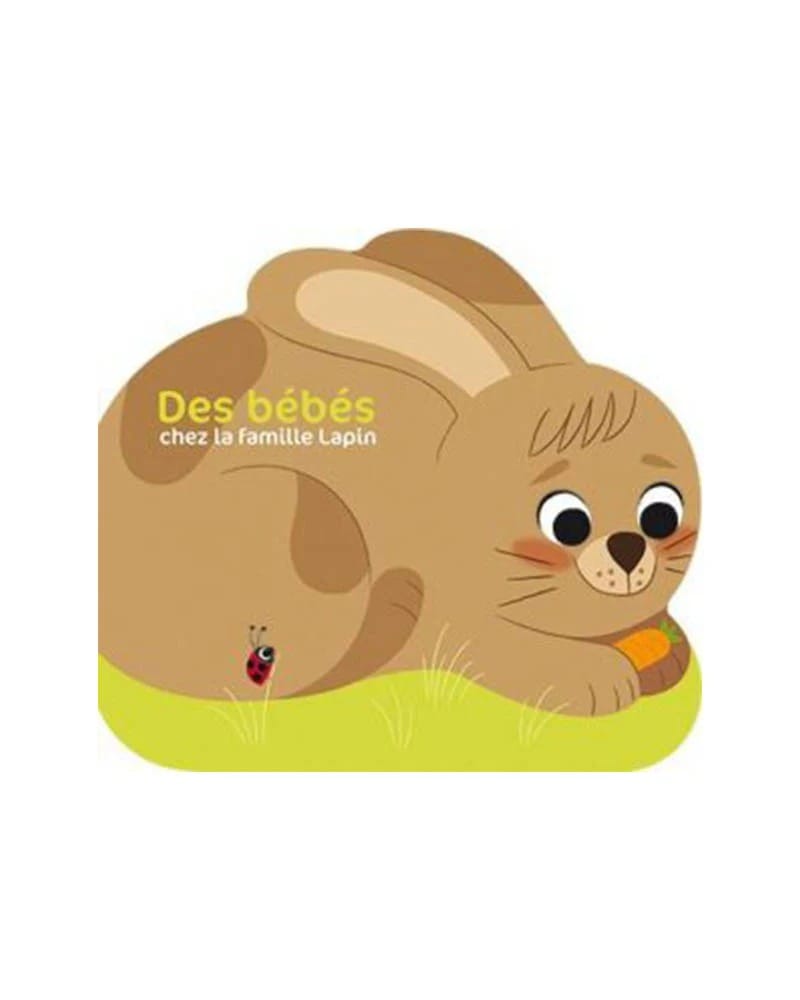 Les P’tits Z’amis de la Ferme – Des Bébés chez la Famille Lapin