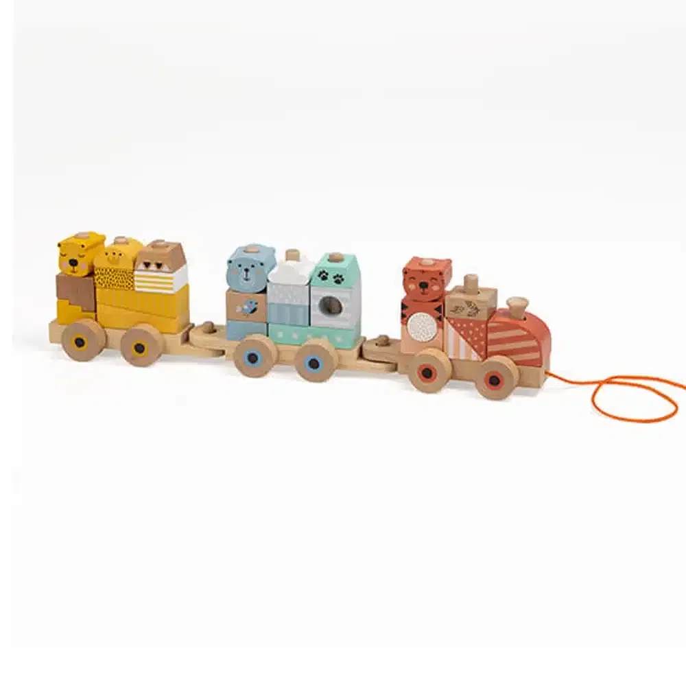Eurekakids Train Blocs en Bois Jungle 18 m+