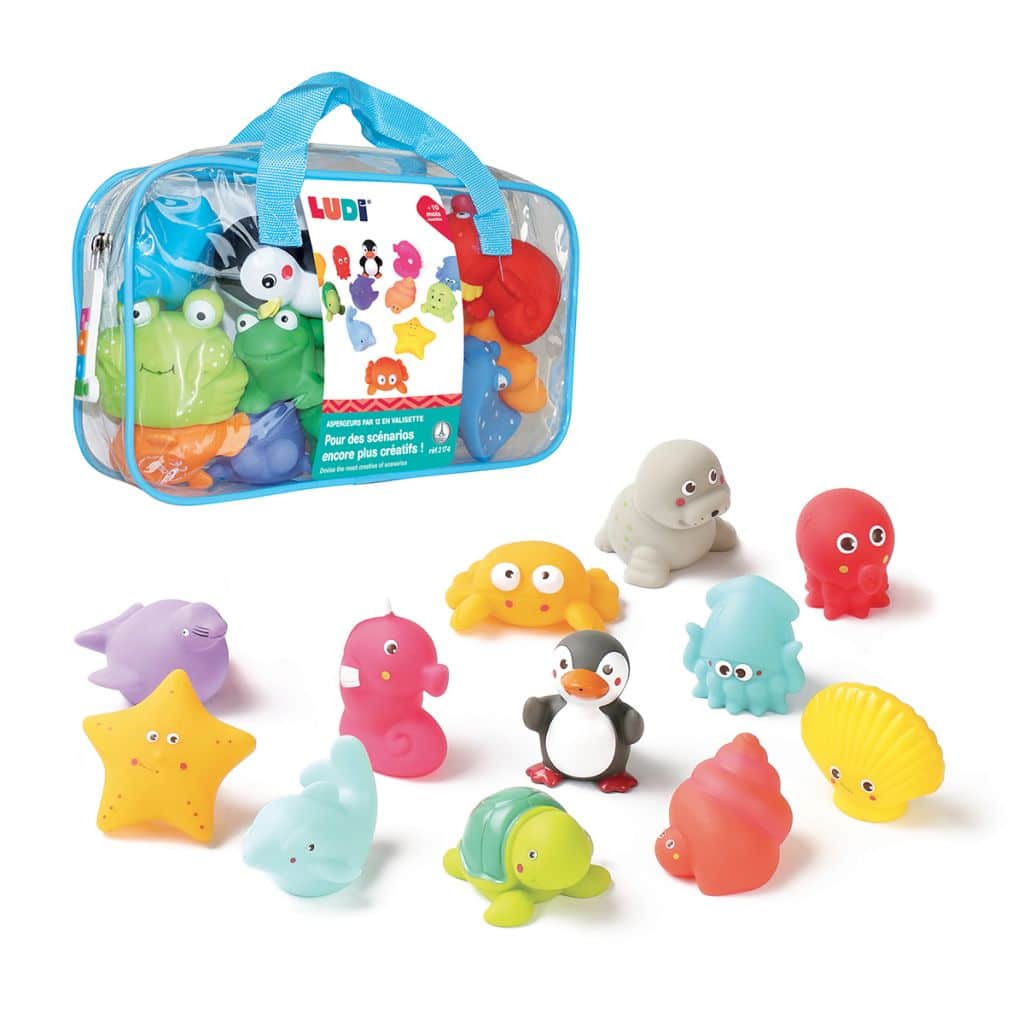 Ludi 12 Aspergeurs en Valisette