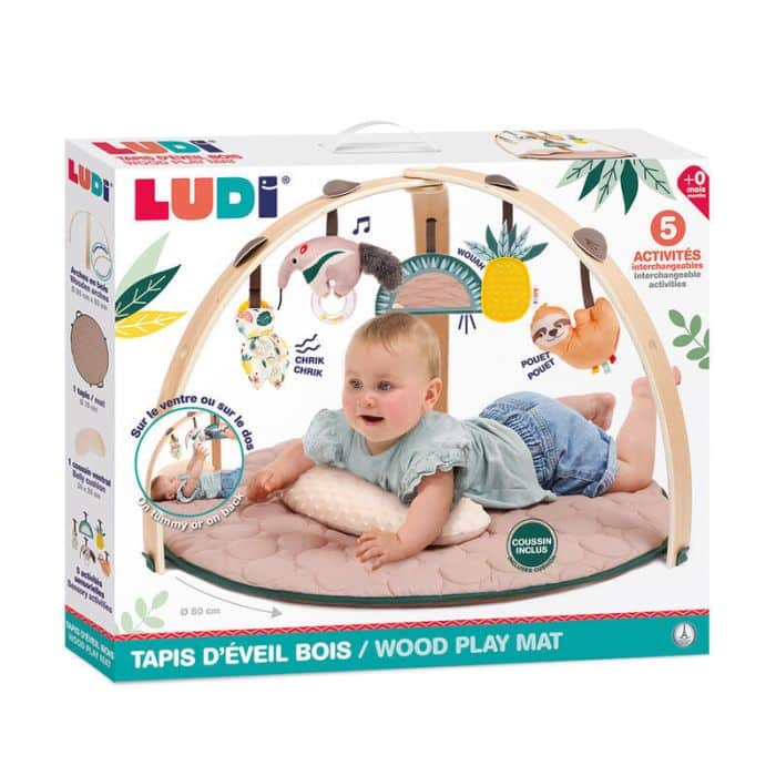 Ludi Tapis d’éveil Arche Bois