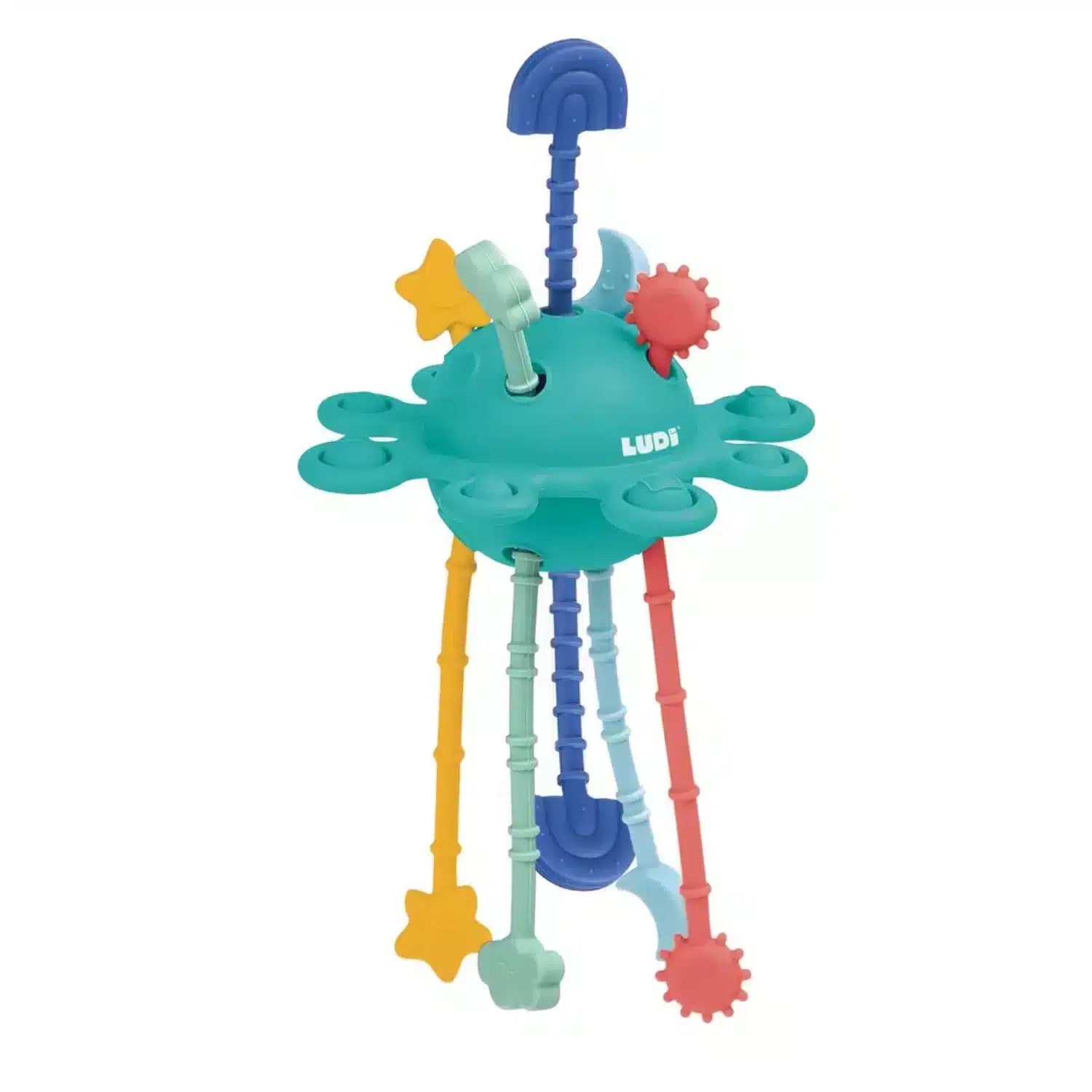 Ludi Zippy activité Multicolore 10 mois+