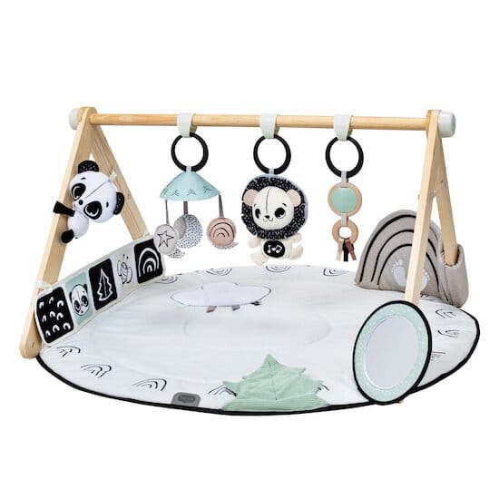 Tiny Love Tapis d’éveil Gymini luxe avec arche en bois
