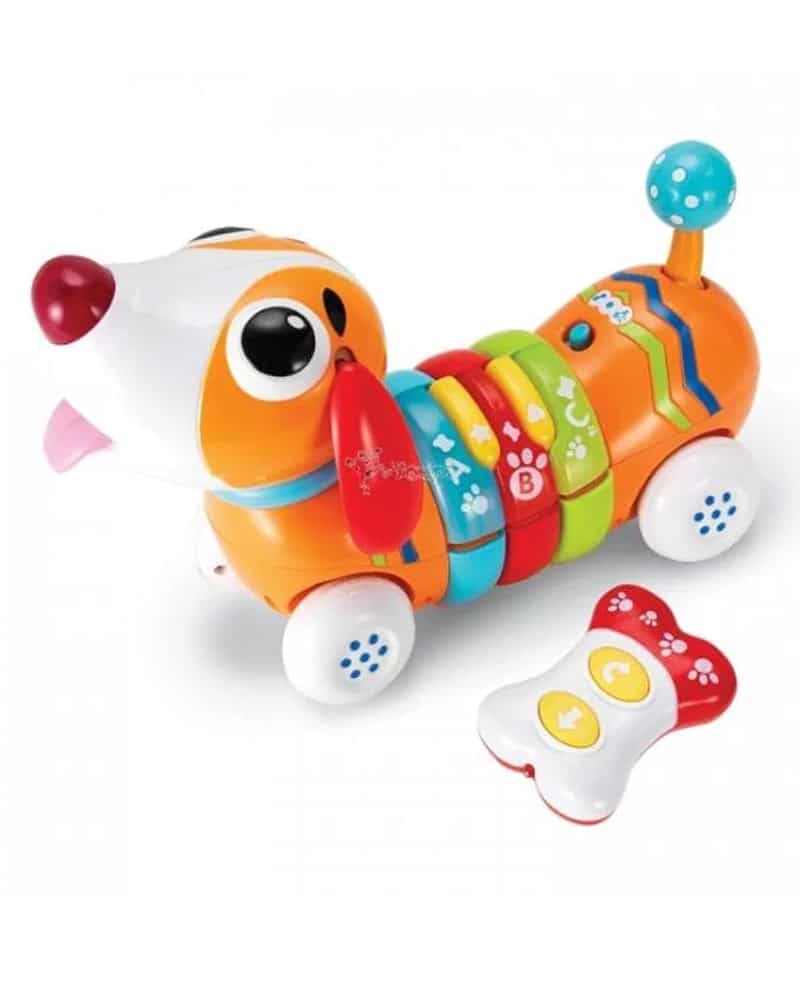 Winfun Chien Couleur Rc