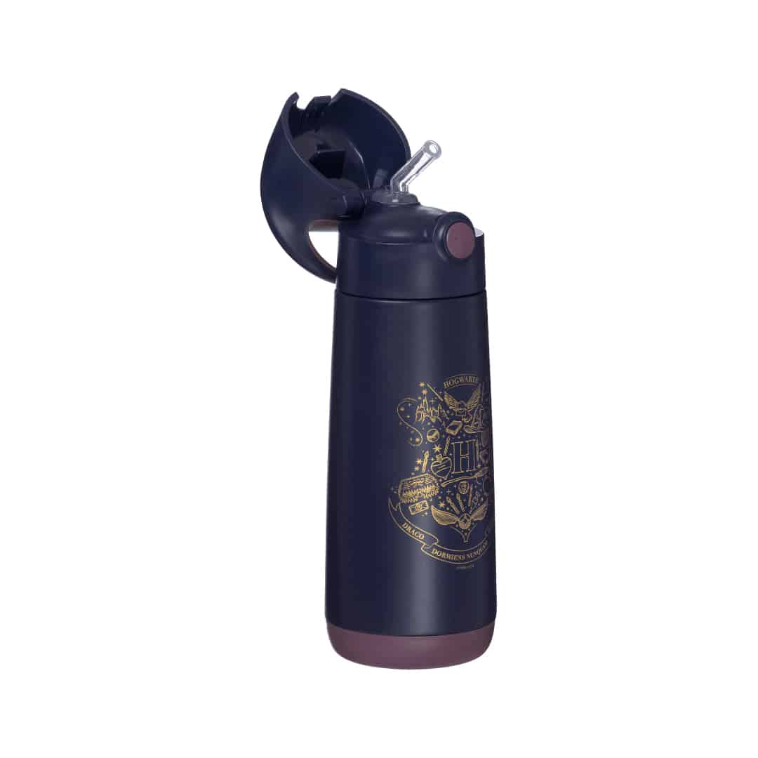BBox Gourde Isotherme 500ml – Harry Potter