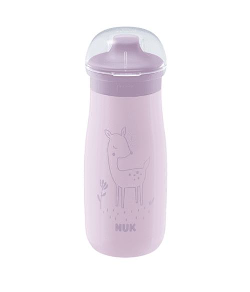 Nuk Mini-Me Sip en acier inoxydable 300ml avec bec verseur Dear 9m+