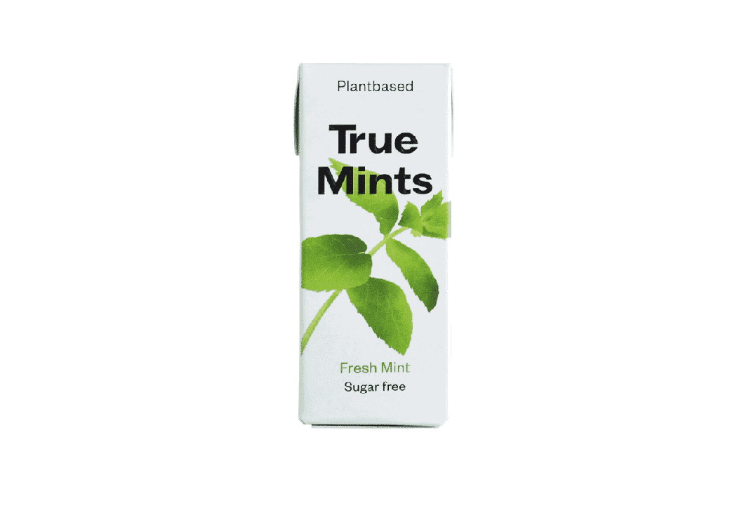 True Mints pastilles Menthe sans Sucre 13G