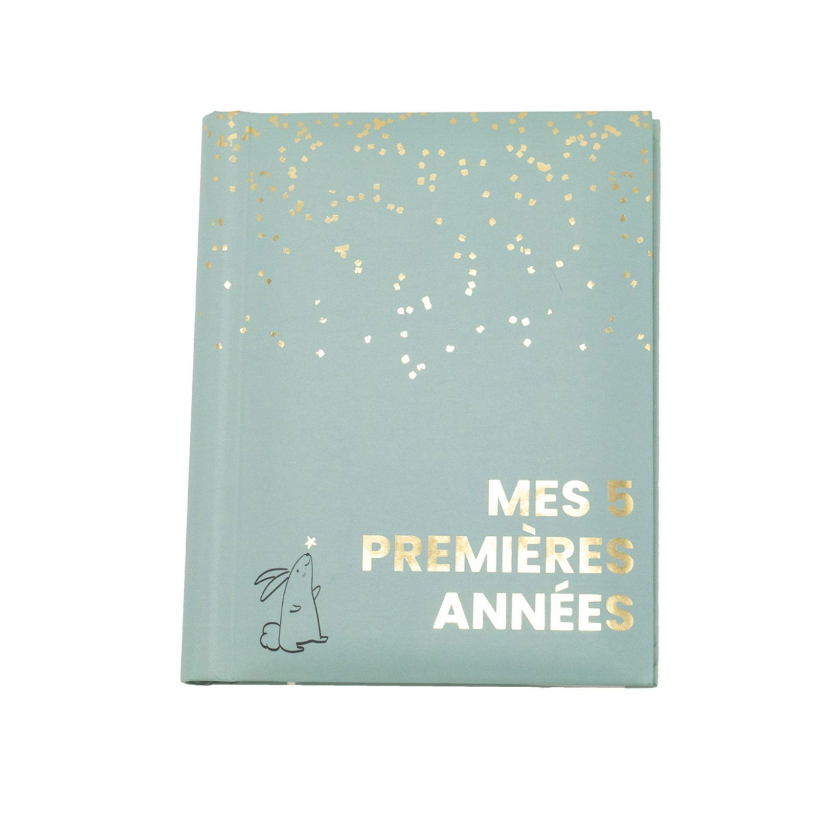 Domiva Livre de naissance Mes cinq premières années